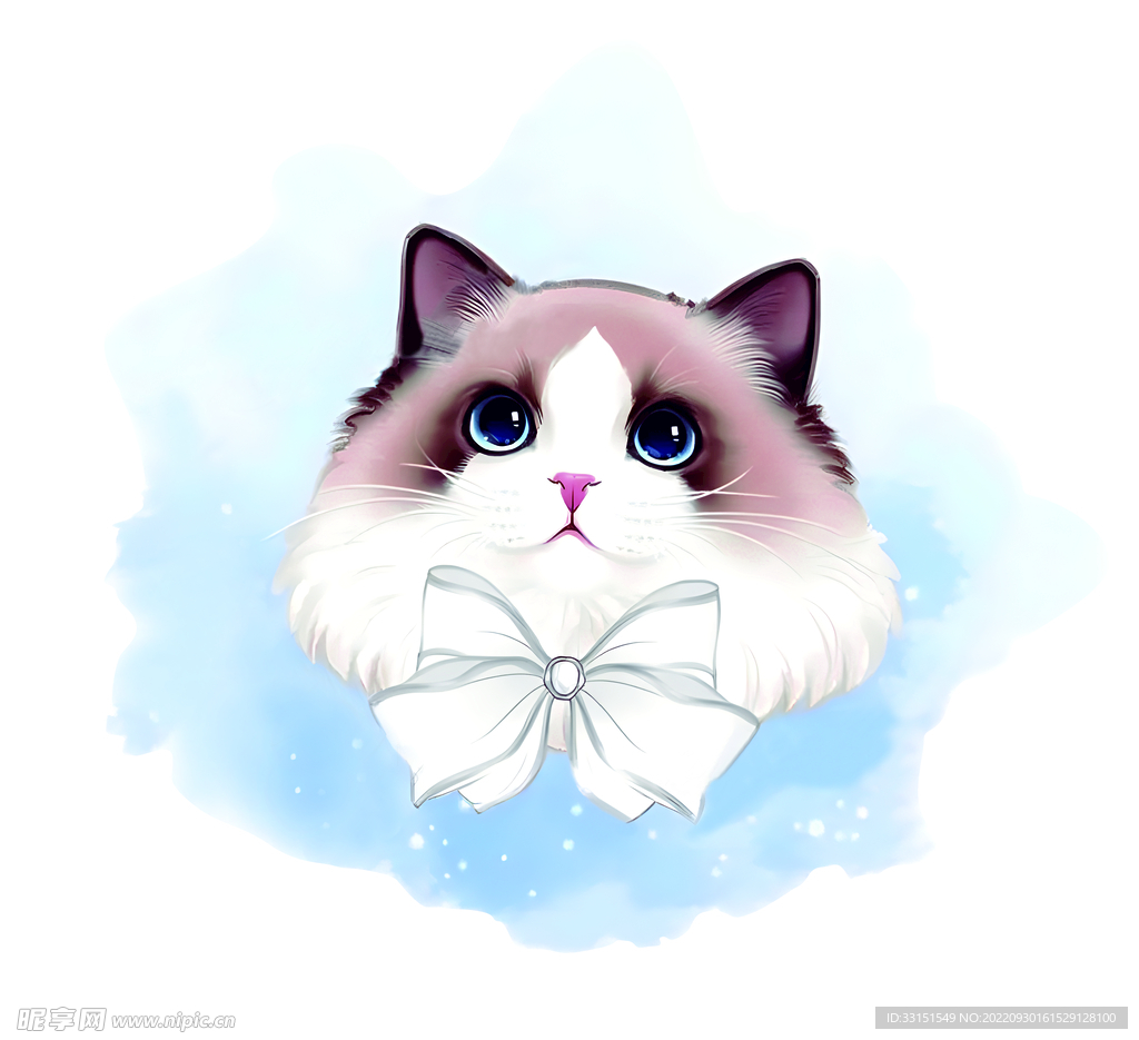 猫