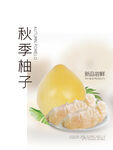柚子海报