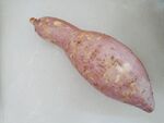 一颗红薯