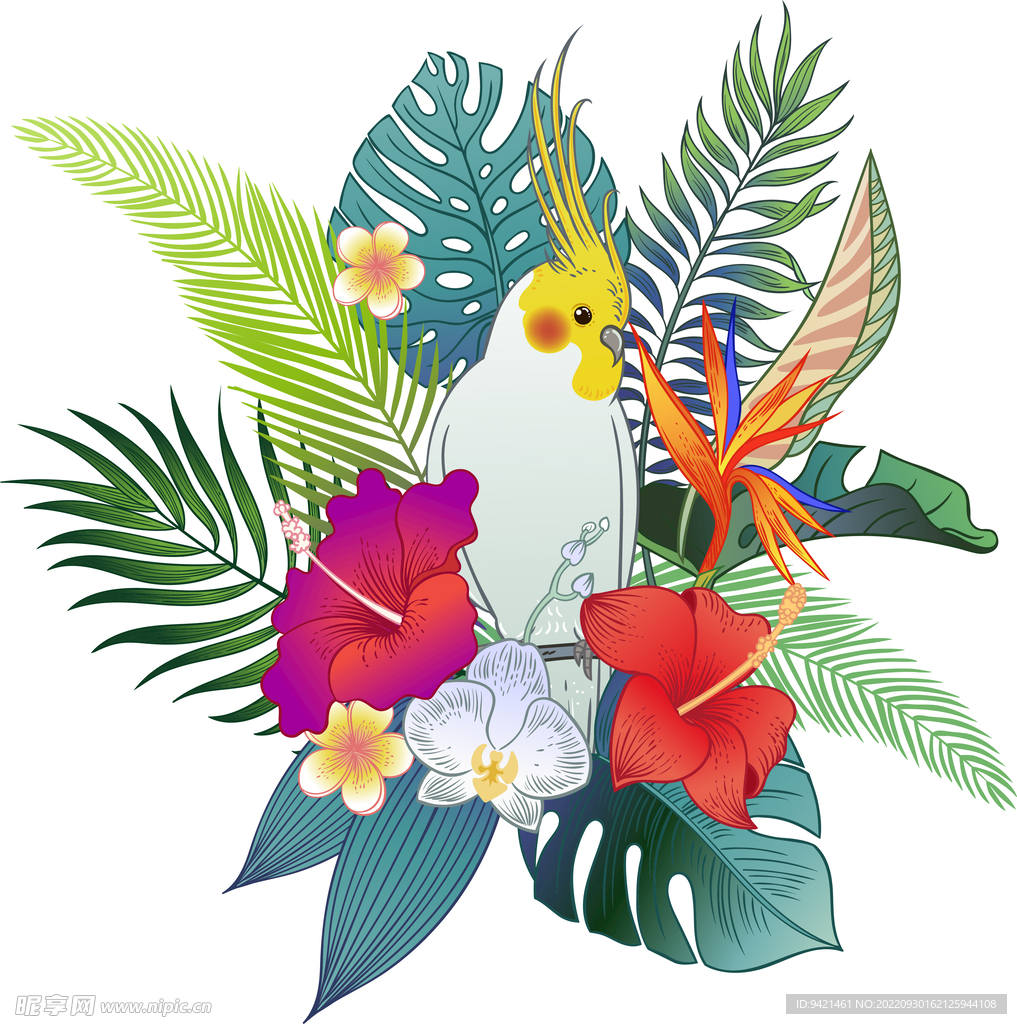 花卉鸟类