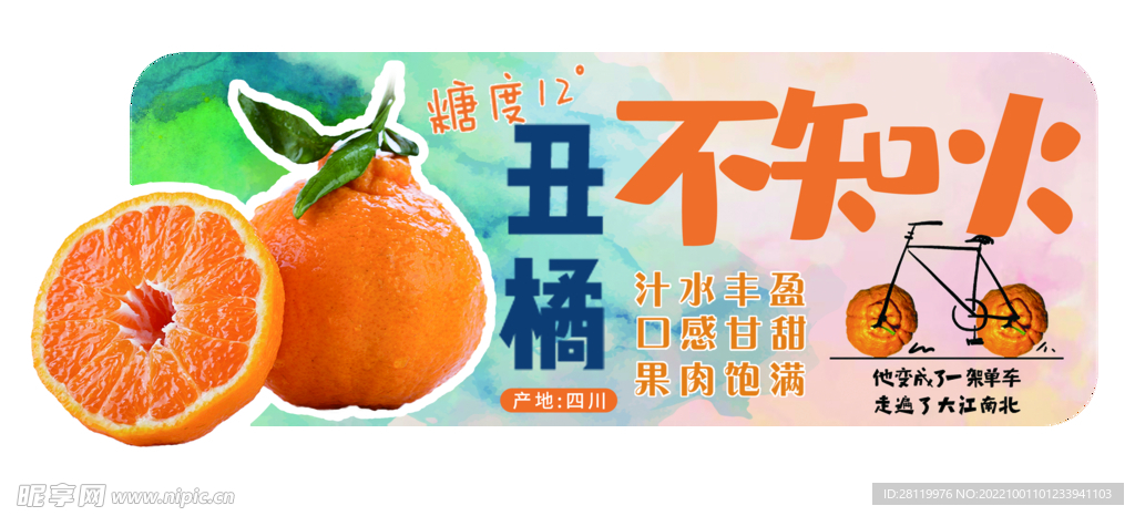 不知火丑橘吊挂