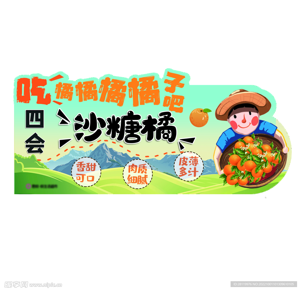 砂糖橘橘子吊挂
