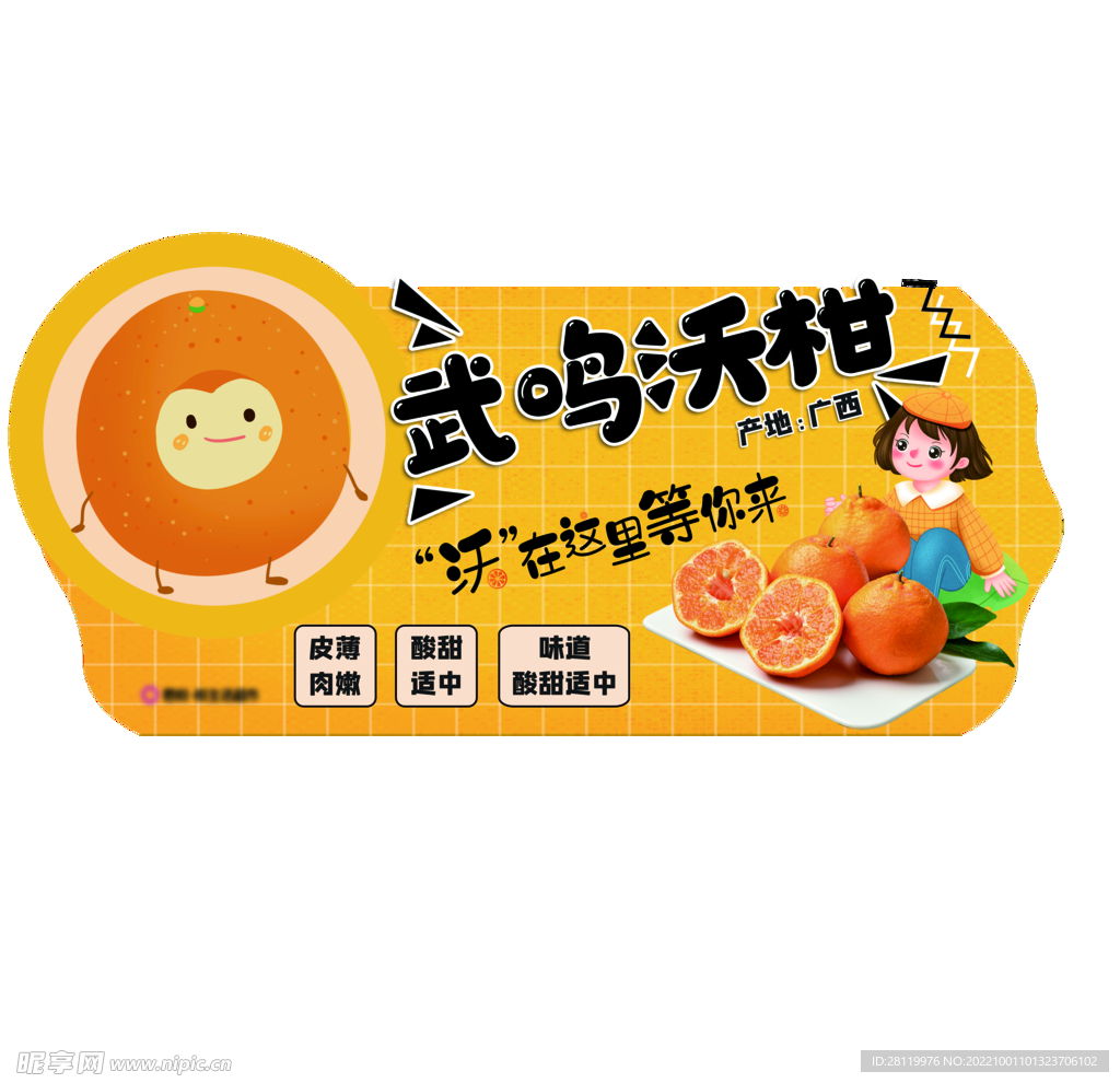 沃柑柑橘吊挂