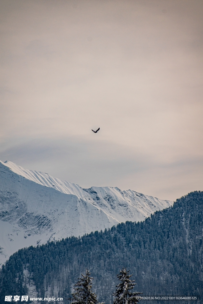 雪山