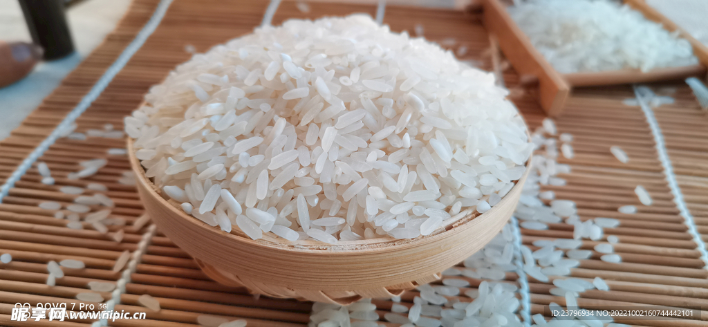 白米照片