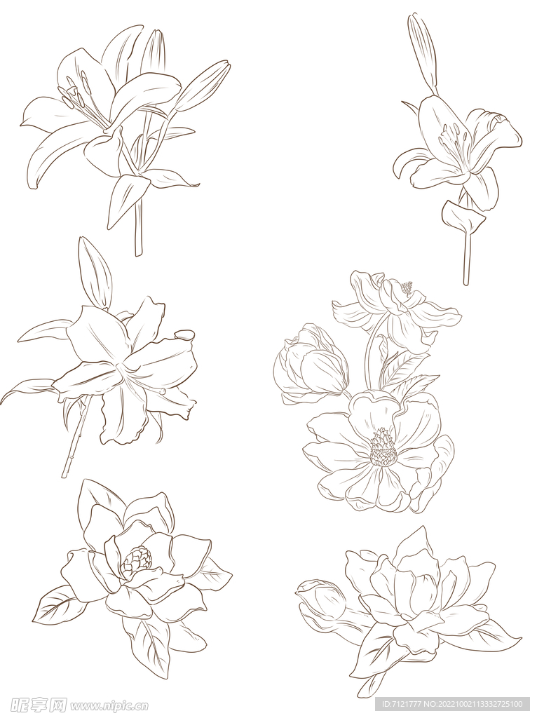 线条花