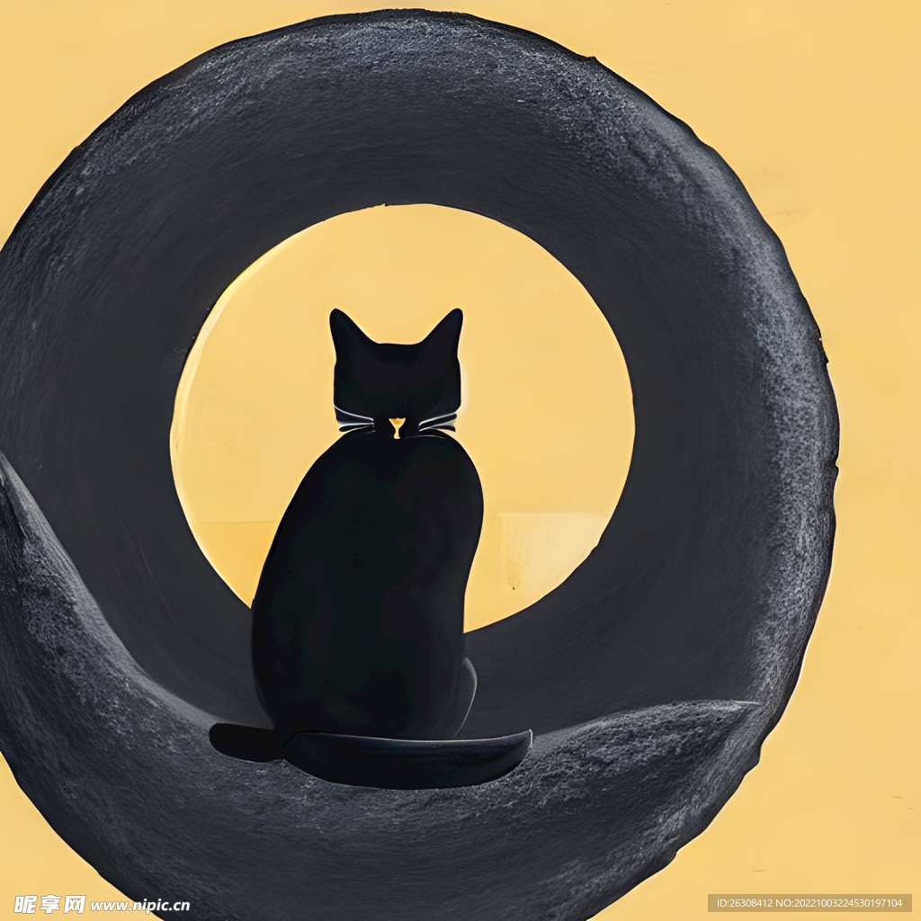 黑猫