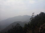 山顶树木云雾