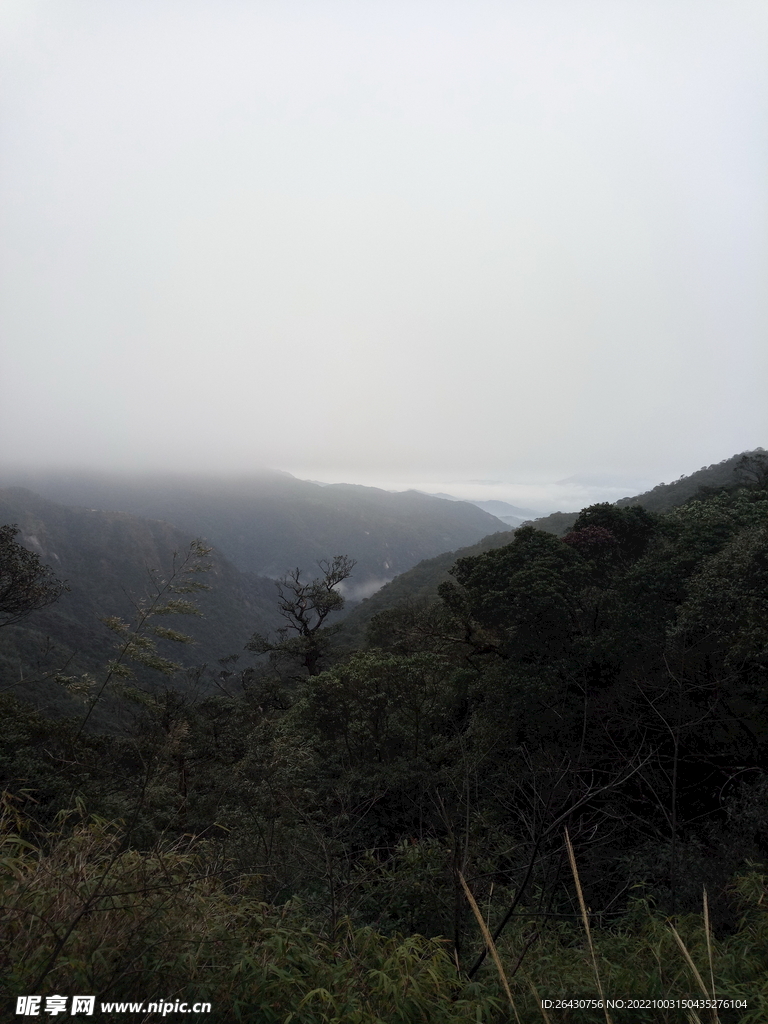 山顶云雾