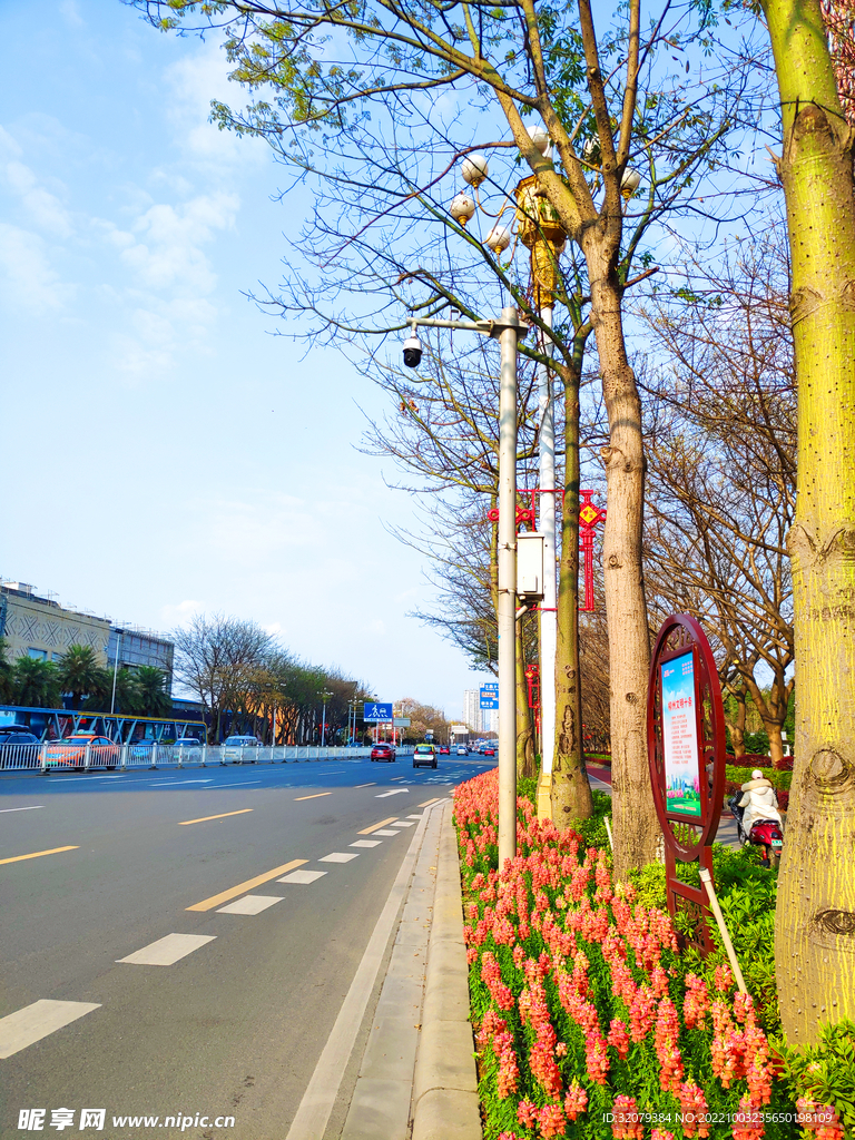 清晨的马路