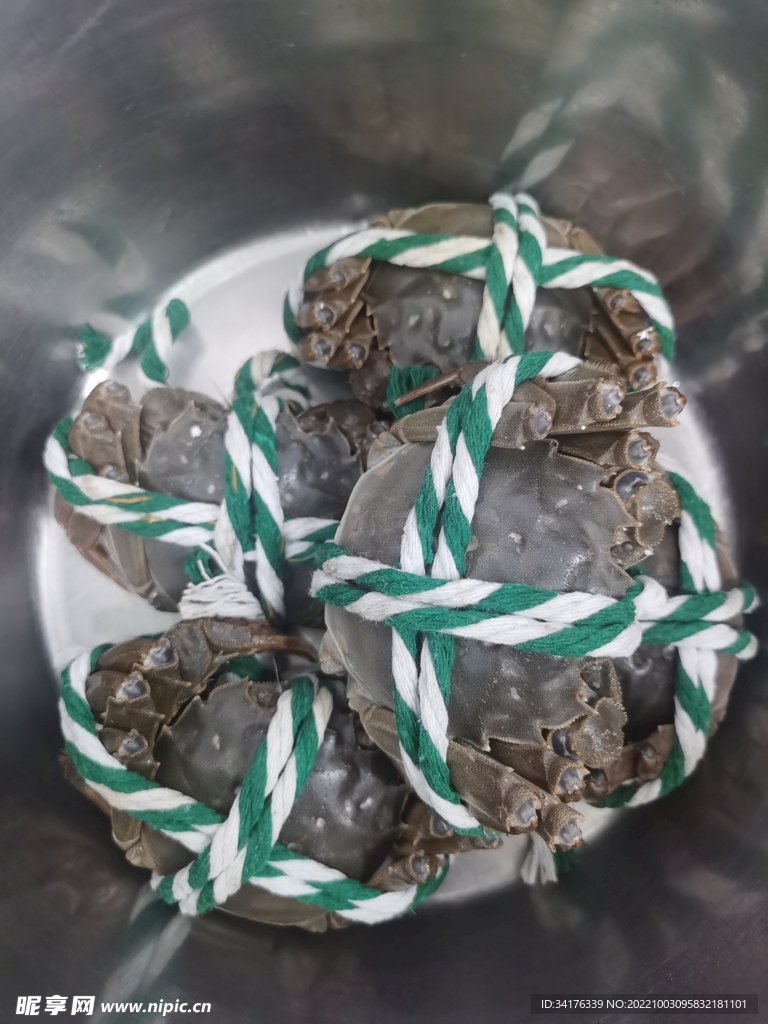 大闸蟹