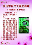 磁疗减肥海报