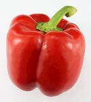 菜椒