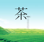 茶