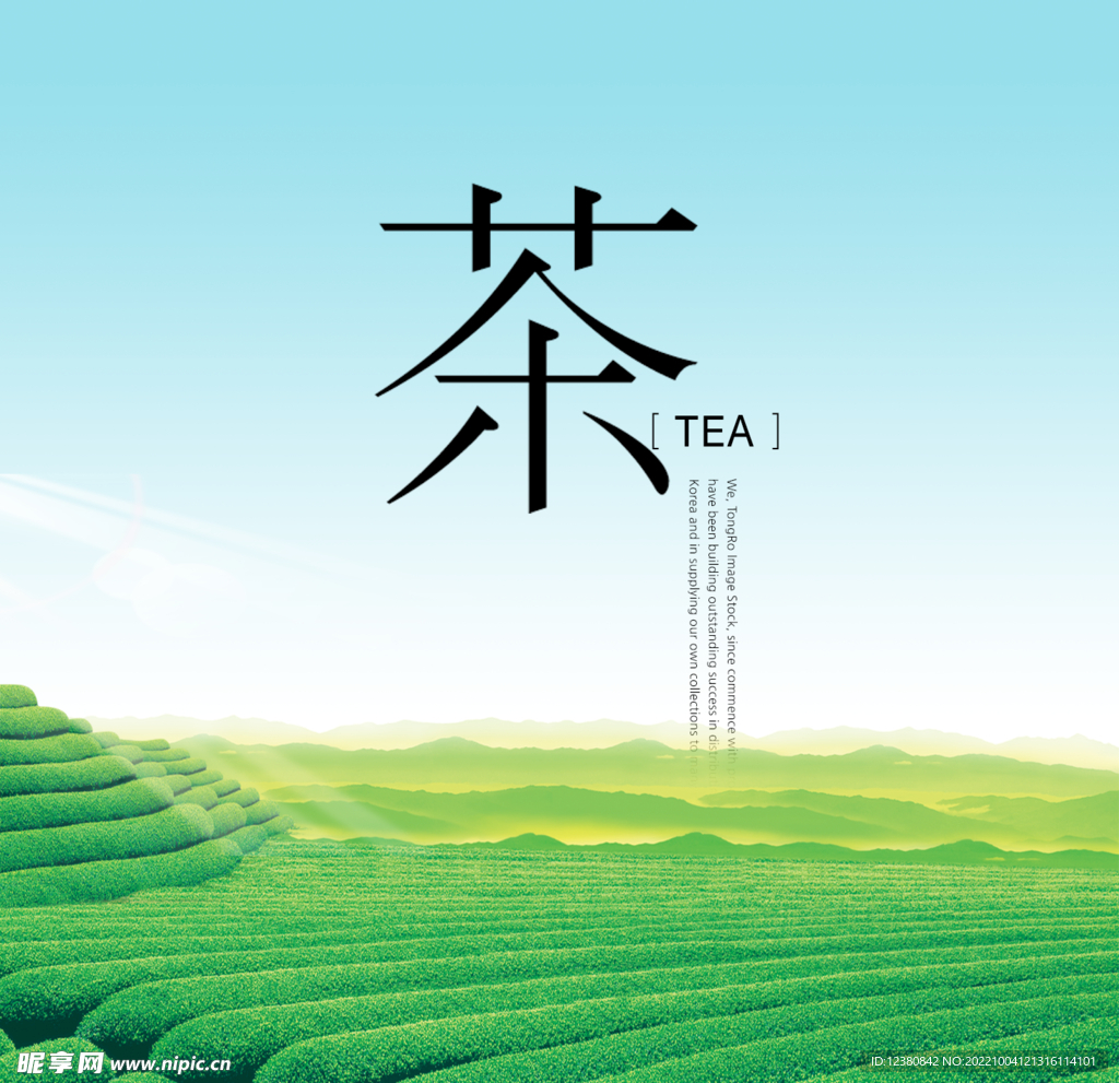茶