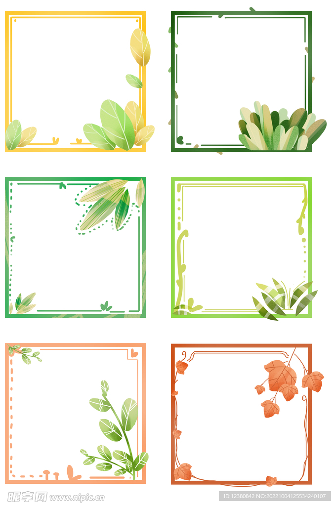植物画框