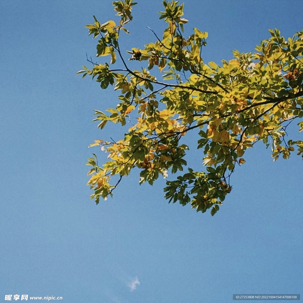 天空