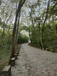 白塔寺小道