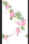 热带花