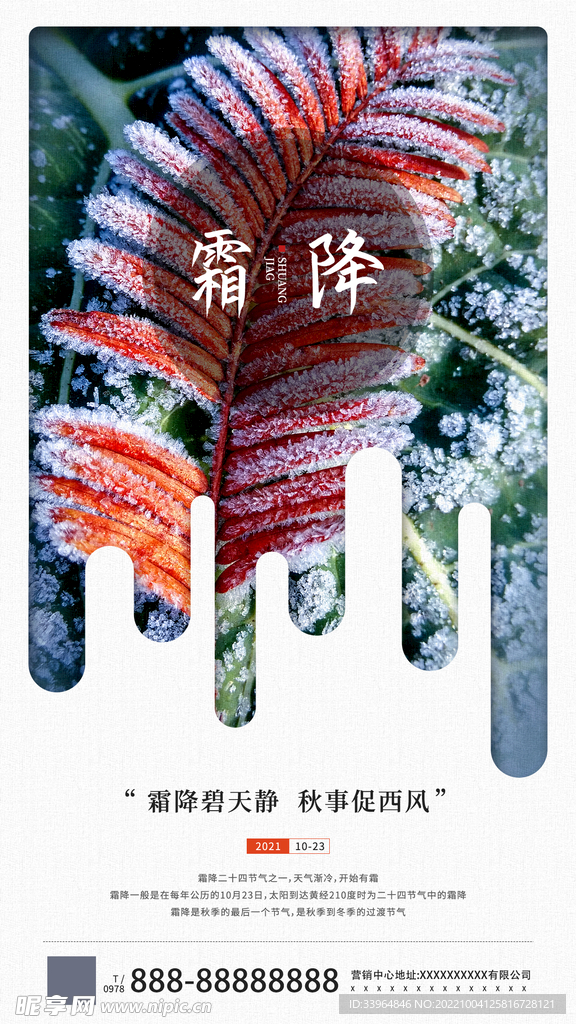 霜降海报