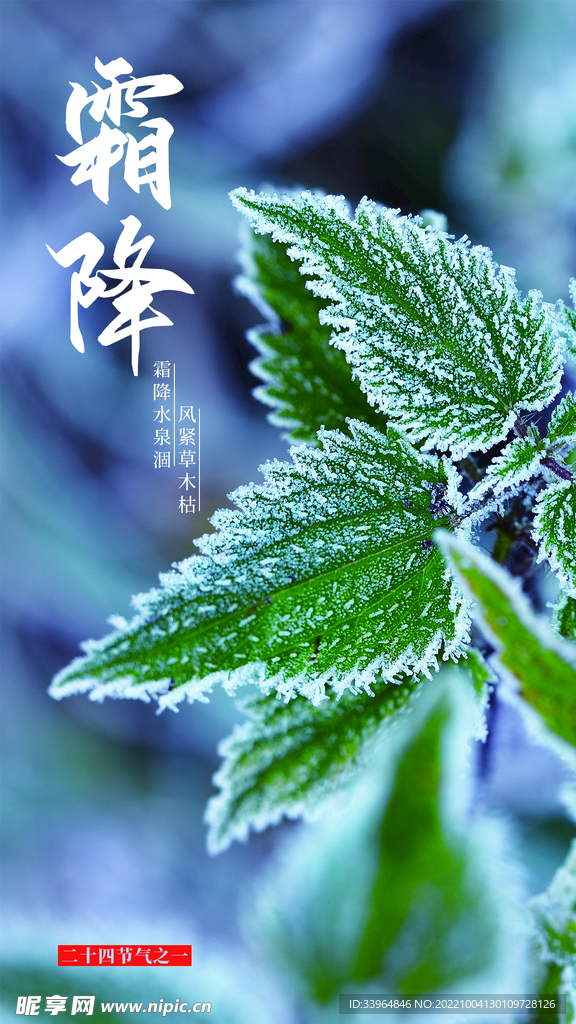 霜降海报