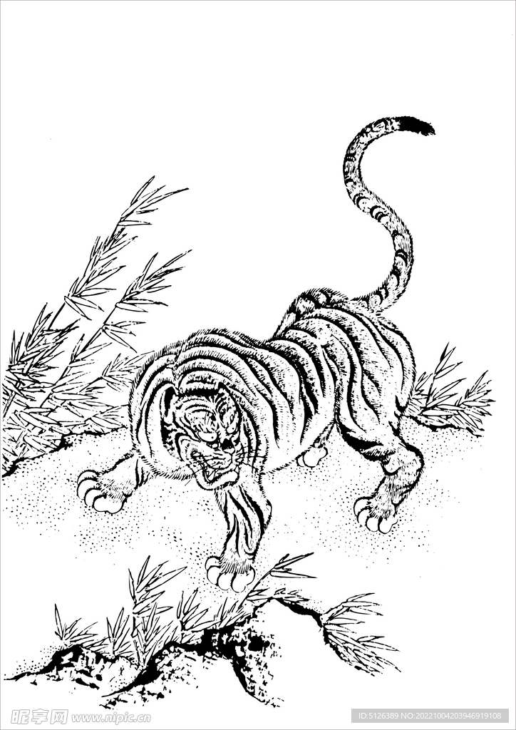 古典老虎图片