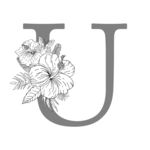 花卉字母