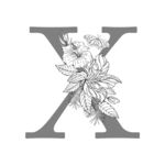 花卉字母