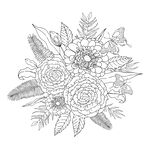 手绘花卉