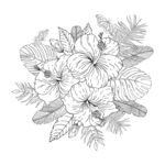 手绘花卉