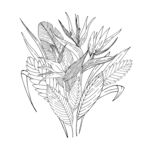 手绘花卉