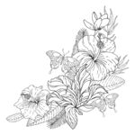 手绘花卉