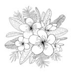 手绘花卉