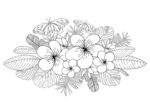 手绘花卉
