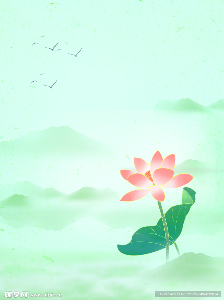 荷花背景