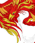 火红凤凰插画