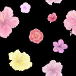 手绘花卉