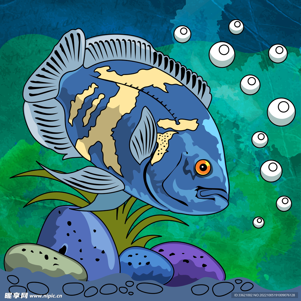 海洋生物  