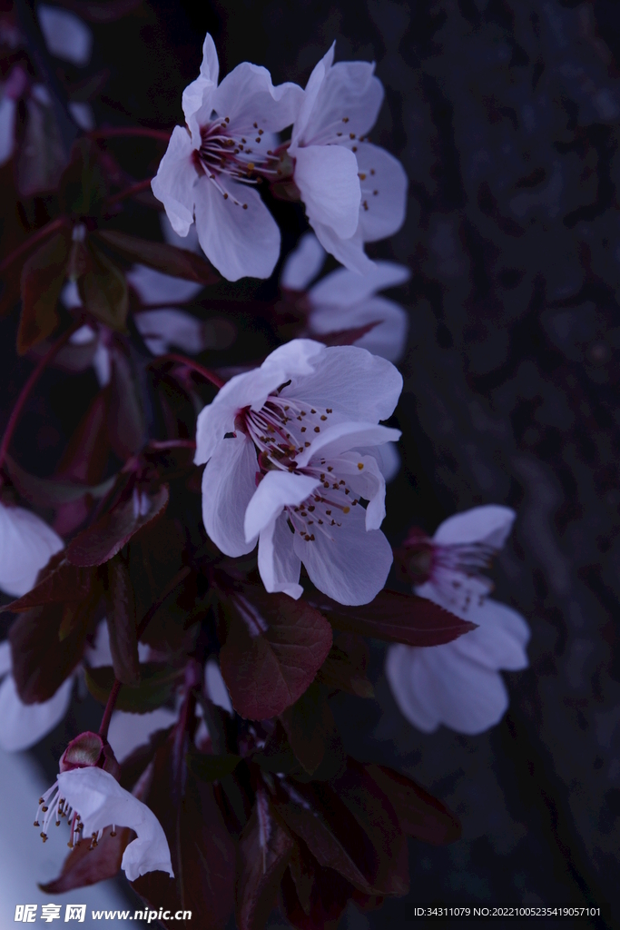 花