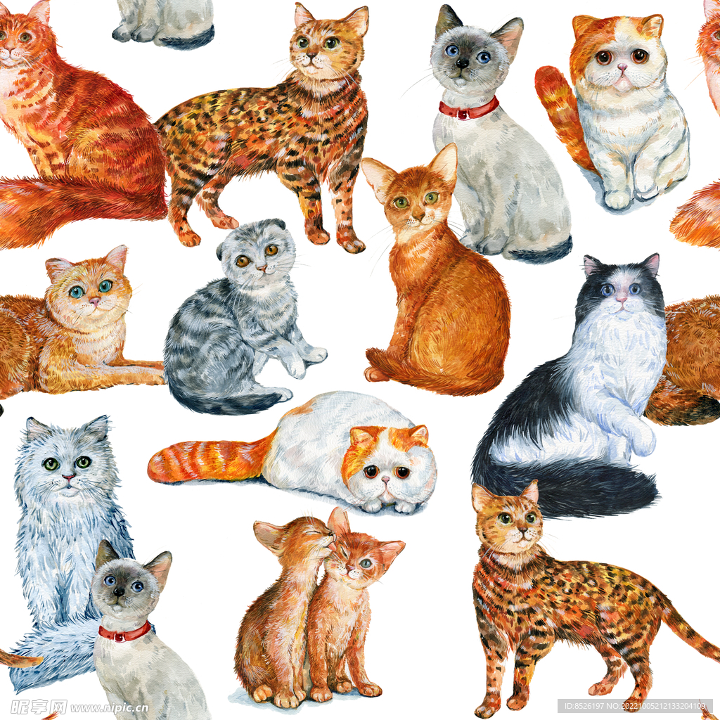 手绘猫