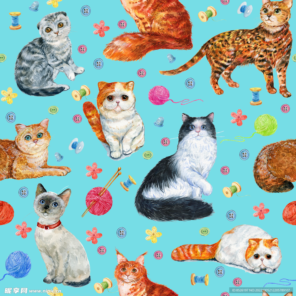 手绘猫