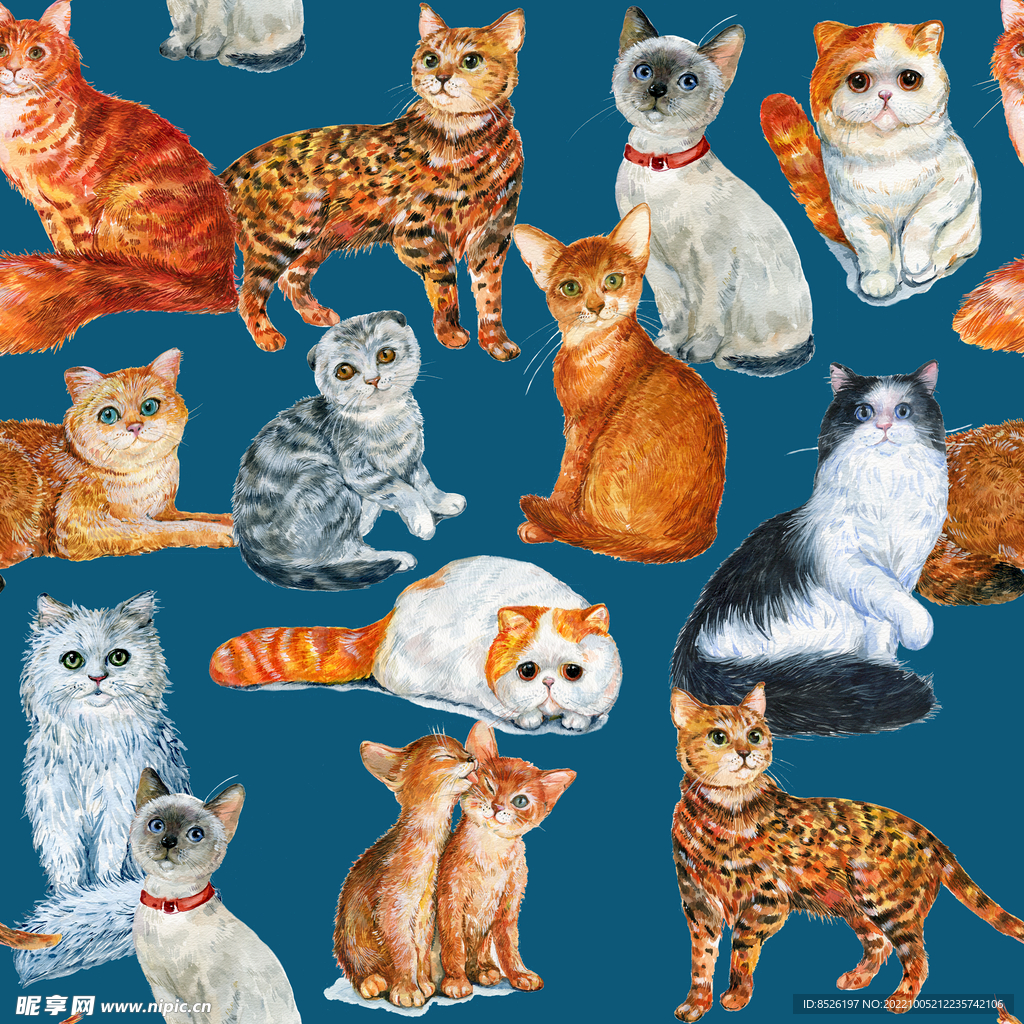 手绘猫