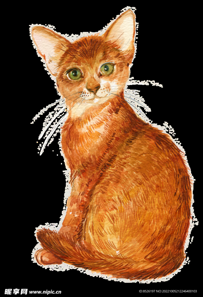 手绘猫