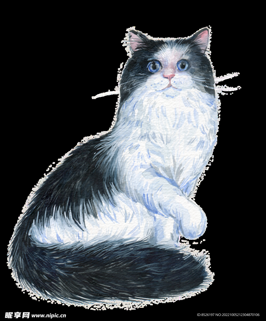 手绘猫