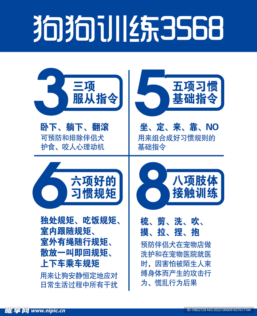 宠物训练