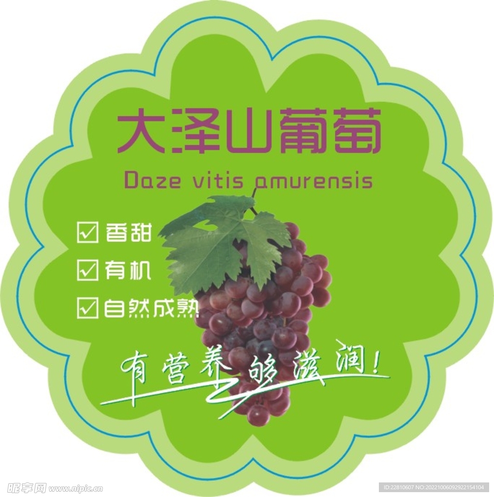 大泽山葡萄标签