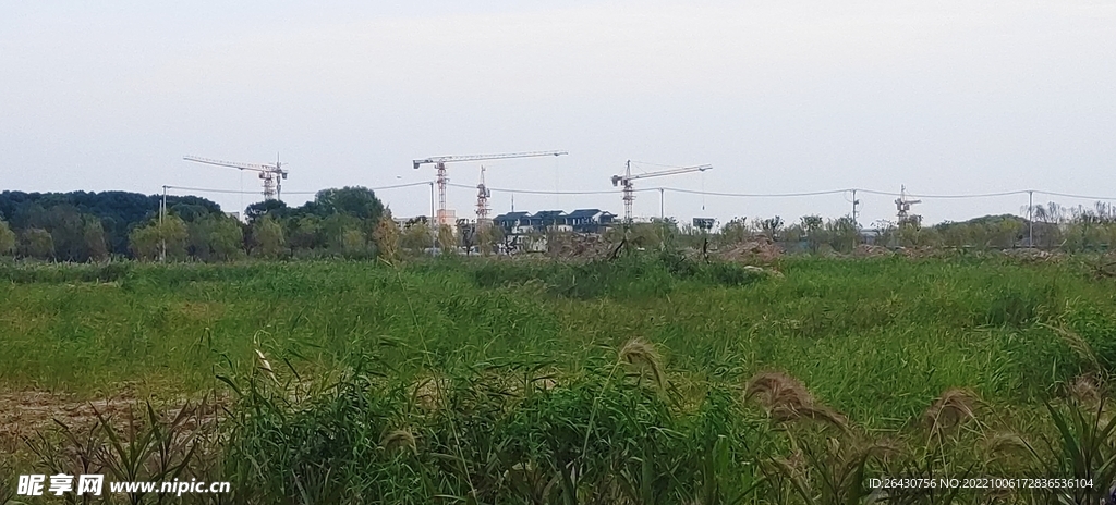 湿地公园施工塔吊