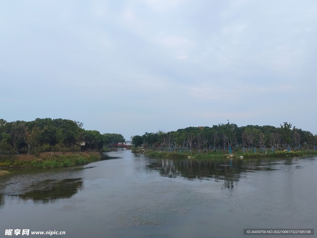 湿地公园湖面树林风景