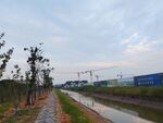 湿地公园施工塔吊