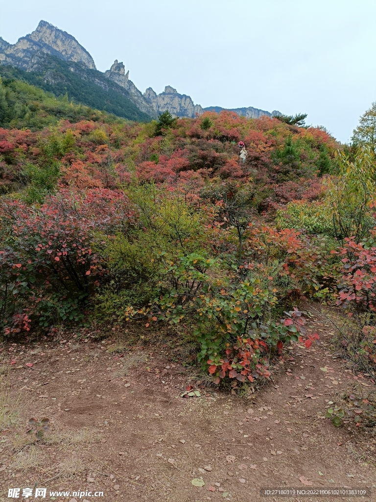 林州骆驼峰